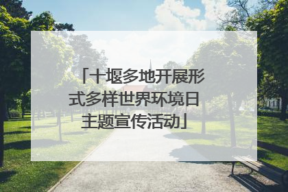 十堰多地开展形式多样世界环境日主题宣传活动