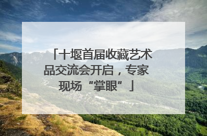十堰首届收藏艺术品交流会开启，专家现场“掌眼”