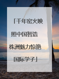 千年窑火映照中国智造 株洲魅力惊艳国际学子