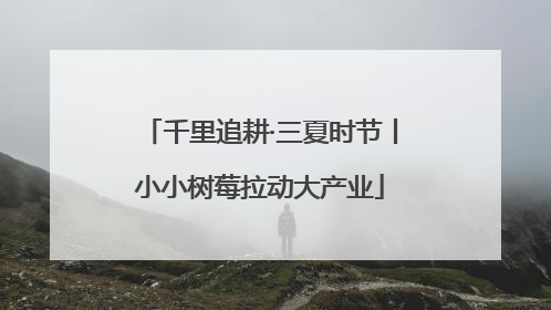 千里追耕·三夏时节丨小小树莓拉动大产业