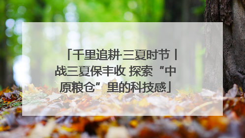 千里追耕·三夏时节丨战三夏保丰收 探索“中原粮仓”里的科技感
