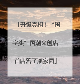 升级亮相！“国字头”国潮文创店首店落子潘家园