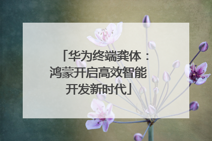 华为终端龚体：鸿蒙开启高效智能开发新时代