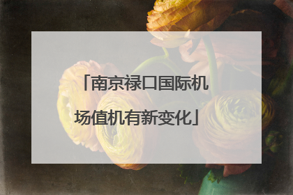南京禄口国际机场值机有新变化