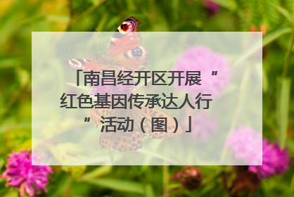 南昌经开区开展“红色基因传承达人行”活动（图）
