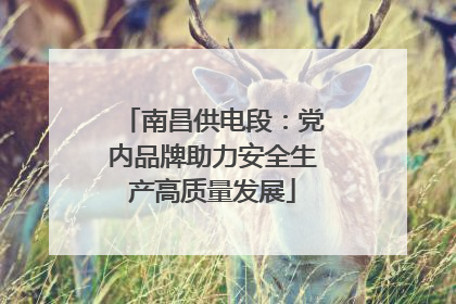 南昌供电段：党内品牌助力安全生产高质量发展