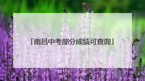 南昌中考部分成绩可查询