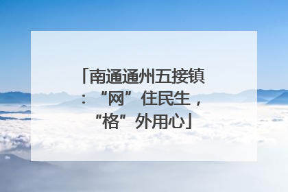南通通州五接镇：“网”住民生，“格”外用心