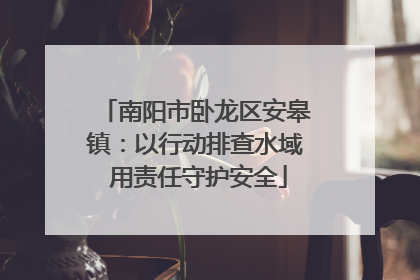 南阳市卧龙区安皋镇：以行动排查水域 用责任守护安全