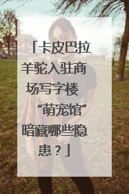卡皮巴拉羊驼入驻商场写字楼 “萌宠馆”暗藏哪些隐患？