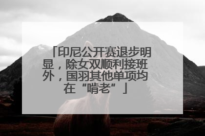 印尼公开赛退步明显，除女双顺利接班外，国羽其他单项均在“啃老”