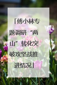 傅小林专题调研“两山”转化突破攻坚战推进情况