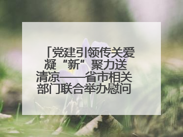 党建引领传关爱 凝“新”聚力送清凉——省市相关部门联合举办慰问骑手活动