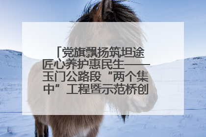 党旗飘扬筑坦途 匠心养护惠民生——玉门公路段“两个集中”工程暨示范桥创建项目圆满收官