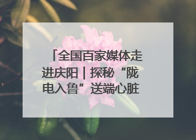 全国百家媒体走进庆阳｜探秘“陇电入鲁”送端心脏 庆阳驭风沐光点亮齐鲁万家