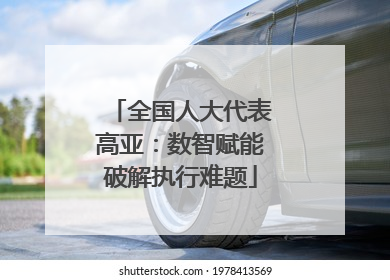 全国人大代表高亚：数智赋能破解执行难题