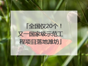 全国仅20个！又一国家级示范工程项目落地潍坊