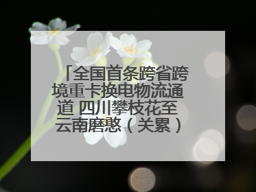 全国首条跨省跨境重卡换电物流通道 四川攀枝花至云南磨憨（关累）换电干线启动