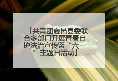共青团夏邑县委联合多部门开展青春自护法治宣传暨“六一”主题日活动