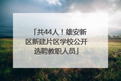 共44人！雄安新区新建片区学校公开选聘教职人员