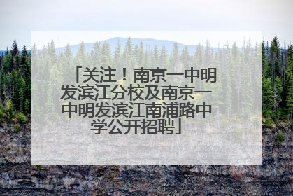 关注！南京一中明发滨江分校及南京一中明发滨江南浦路中学公开招聘