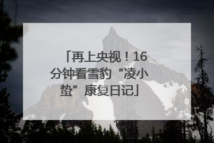 再上央视！16分钟看雪豹“凌小蛰”康复日记