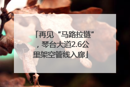 再见“马路拉链”，琴台大道2.6公里架空管线入廊