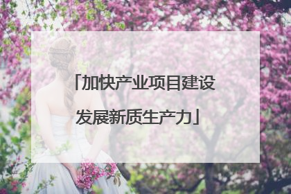 加快产业项目建设 发展新质生产力