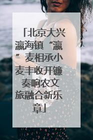 北京大兴瀛海镇“瀛”麦相承小麦丰收开镰 奏响农文旅融合新乐章