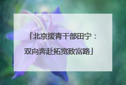 北京援青干部田宁：双向奔赴拓宽致富路