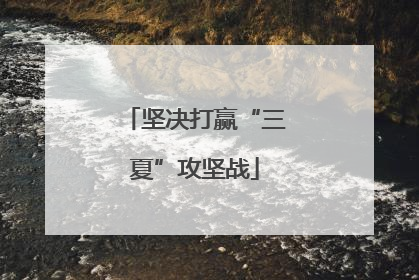 坚决打赢“三夏”攻坚战