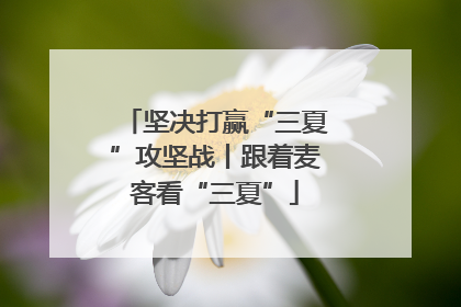 坚决打赢“三夏”攻坚战丨跟着麦客看“三夏”