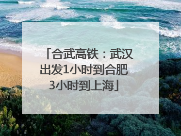 合武高铁：武汉出发1小时到合肥3小时到上海