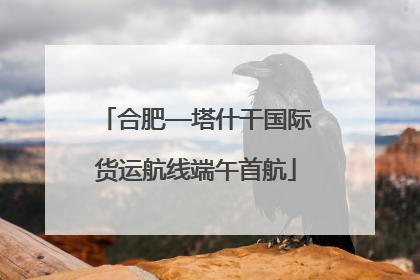 合肥—塔什干国际货运航线端午首航