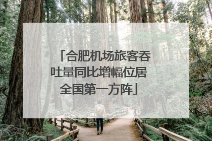 合肥机场旅客吞吐量同比增幅位居全国第一方阵
