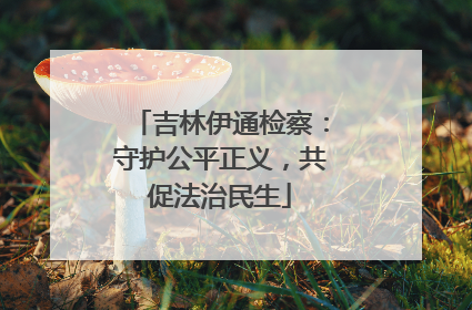 吉林伊通检察：守护公平正义，共促法治民生