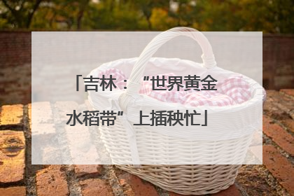 吉林：“世界黄金水稻带”上插秧忙