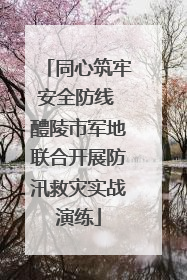 同心筑牢安全防线 醴陵市军地联合开展防汛救灾实战演练