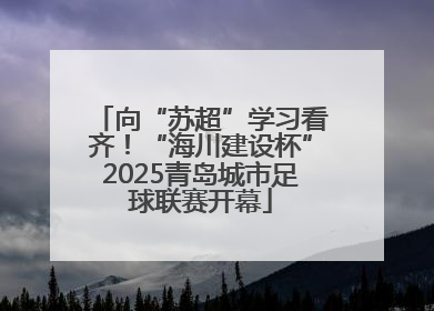 向“苏超”学习看齐！“海川建设杯”2025青岛城市足球联赛开幕