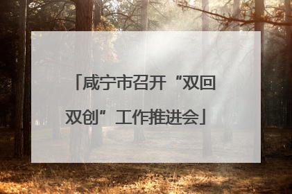 咸宁市召开“双回双创”工作推进会