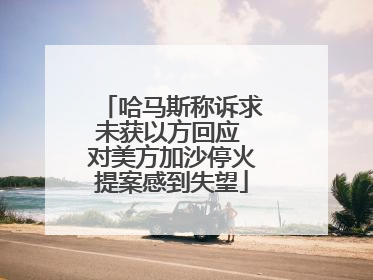 哈马斯称诉求未获以方回应 对美方加沙停火提案感到失望