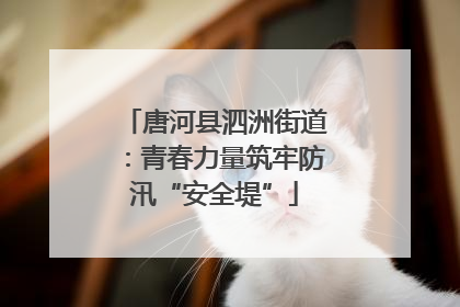 唐河县泗洲街道：青春力量筑牢防汛“安全堤”