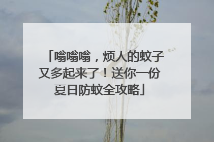 嗡嗡嗡，烦人的蚊子又多起来了！送你一份夏日防蚊全攻略