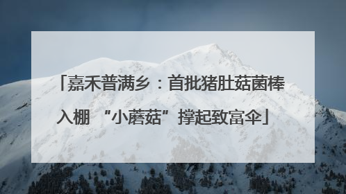嘉禾普满乡：首批猪肚菇菌棒入棚 “小蘑菇”撑起致富伞