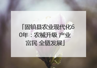 固镇县农业现代化60年：农械升级 产业富民 全链发展