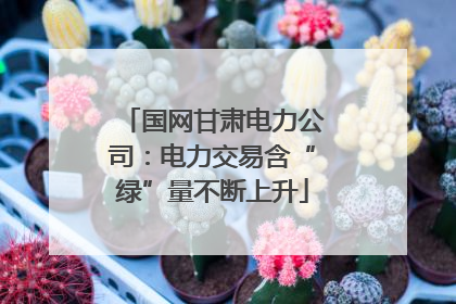 国网甘肃电力公司：电力交易含“绿”量不断上升