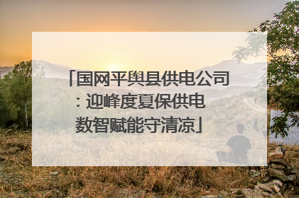 国网平舆县供电公司：迎峰度夏保供电  数智赋能守清凉