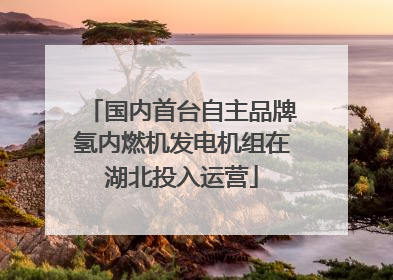 国内首台自主品牌氢内燃机发电机组在湖北投入运营