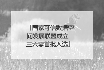 国家可信数据空间发展联盟成立 三六零首批入选