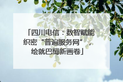 四川电信：数智赋能织密“普遍服务网”，绘就巴蜀新画卷